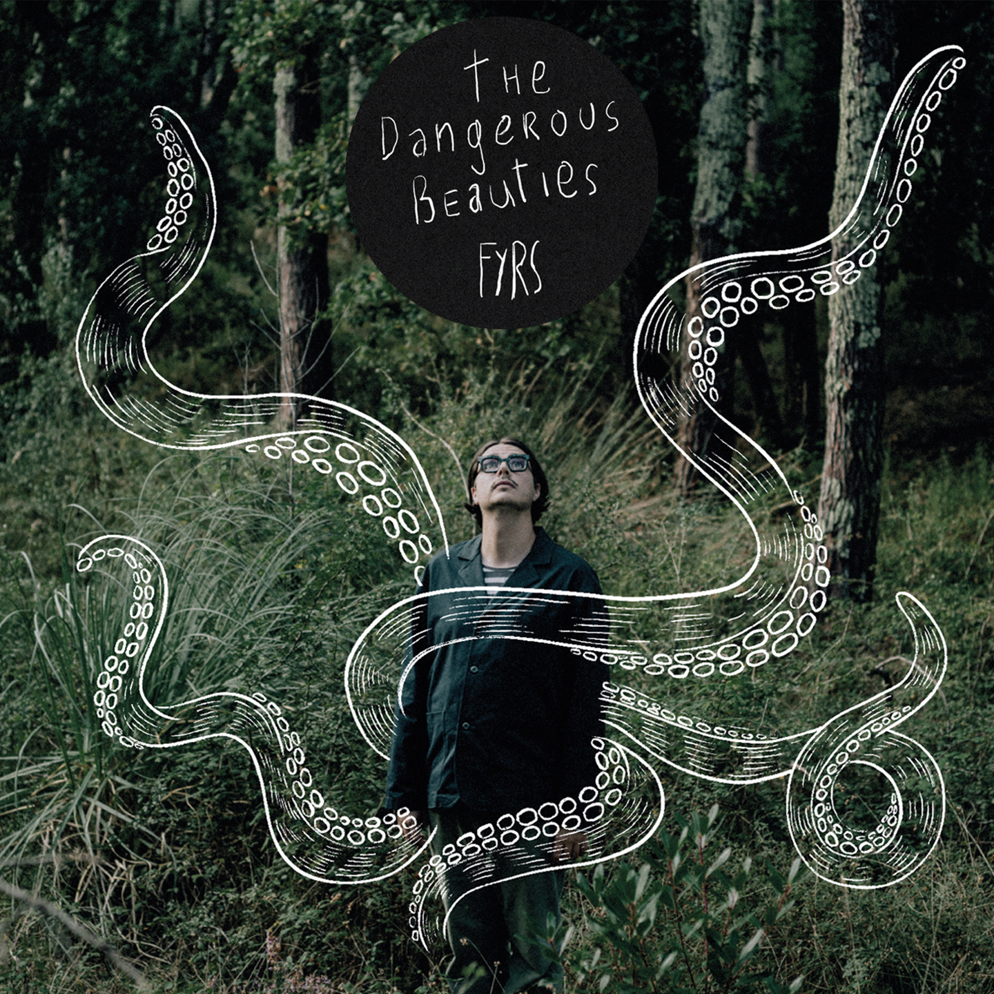 THE DANGEROUS BEAUTIES