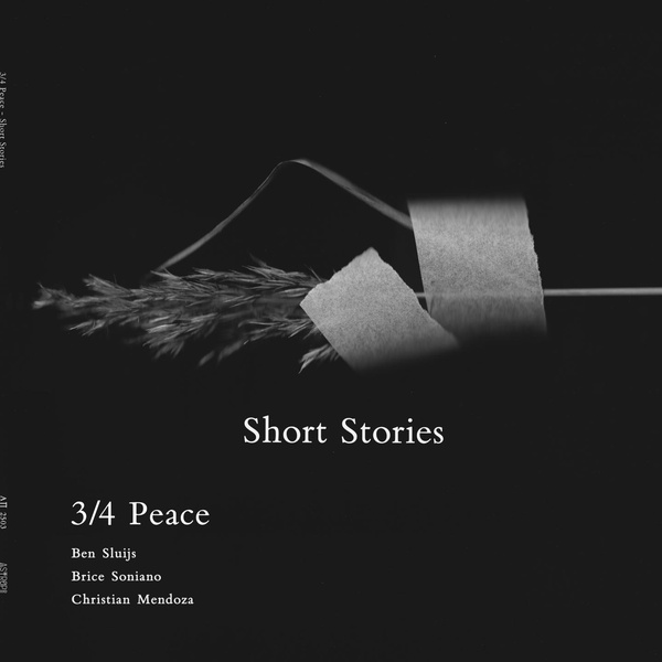 SHORT STORIES