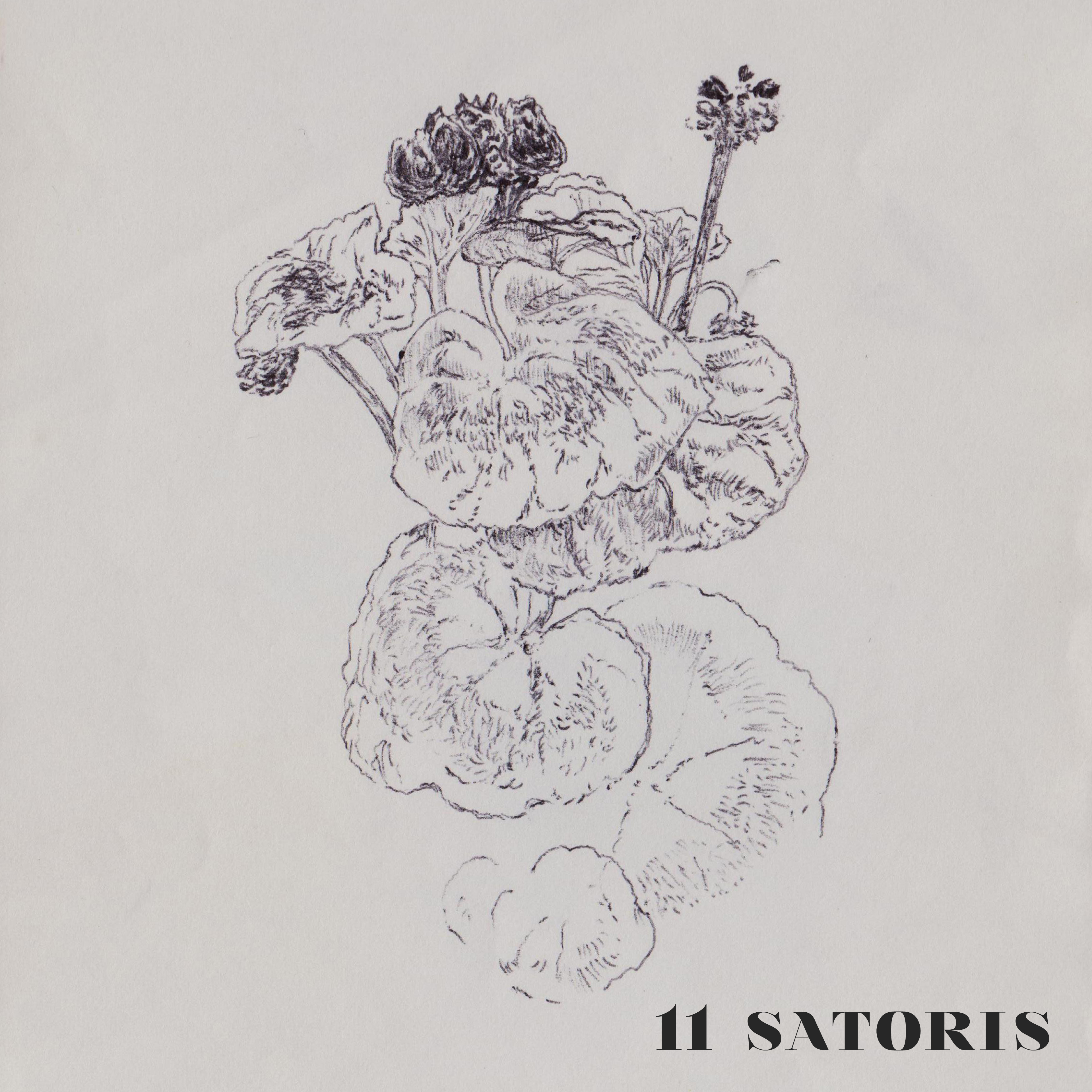 11 SATORIS