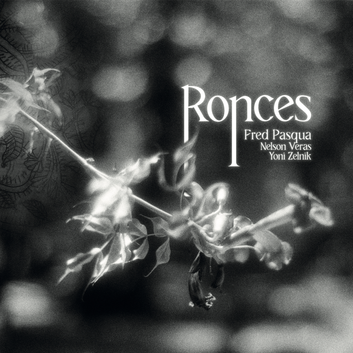 RONCES