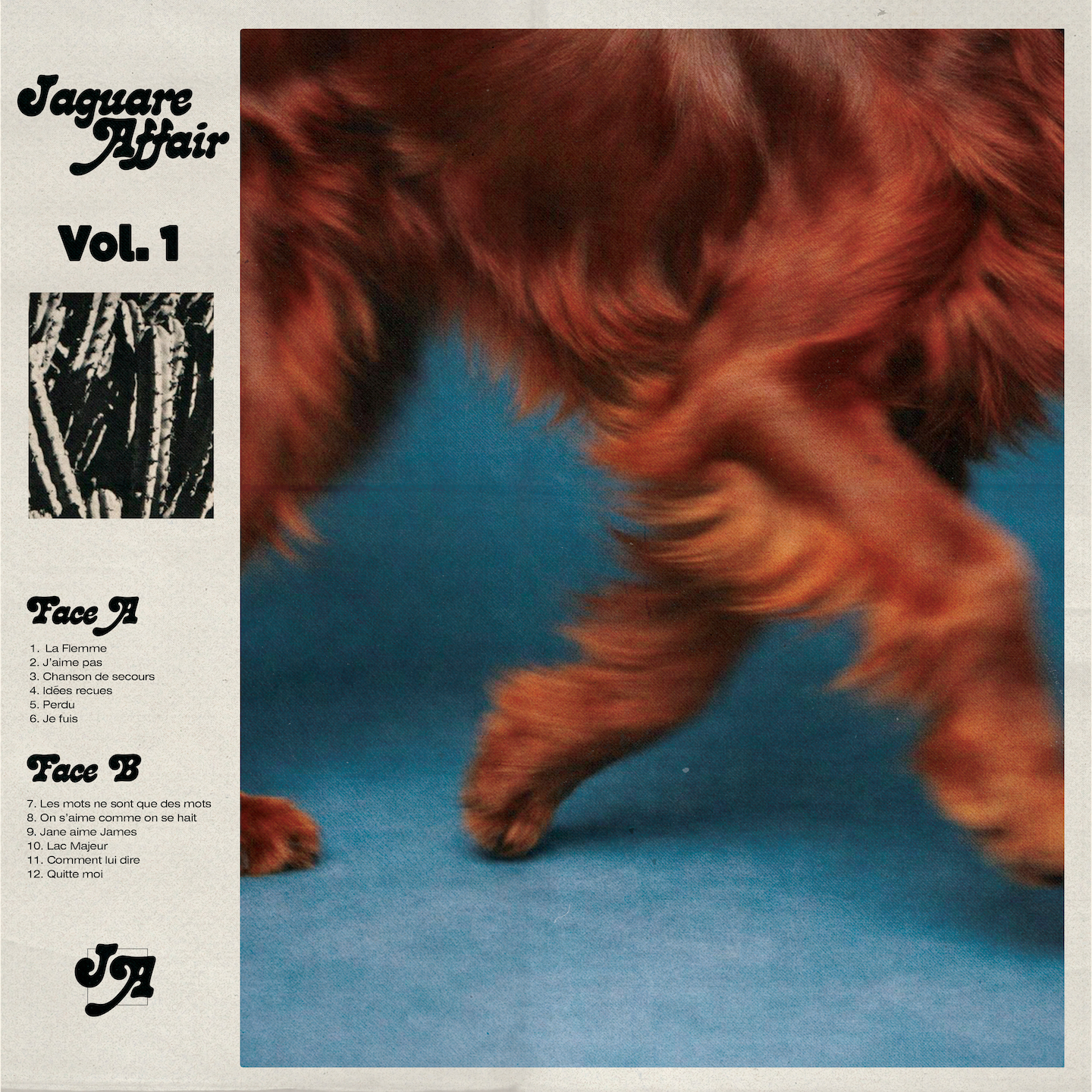 JAGUARE AFFAIR - VOL.1