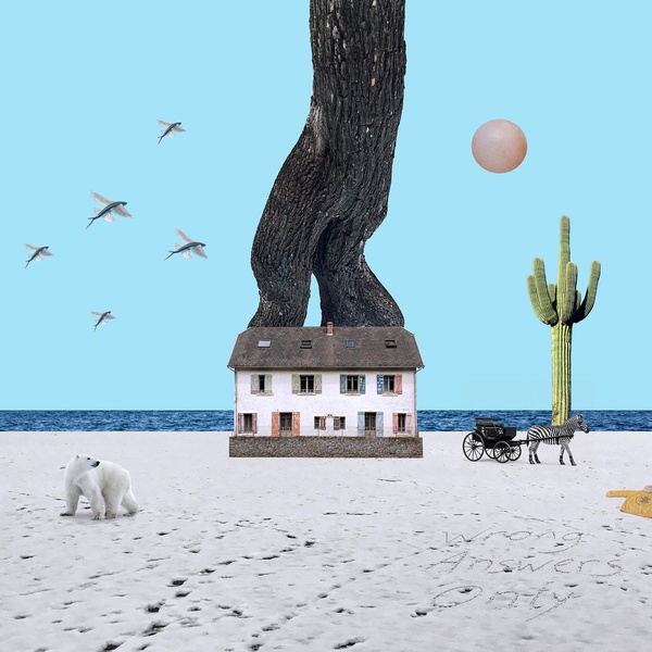 Wrong Answer Only - Vinyle