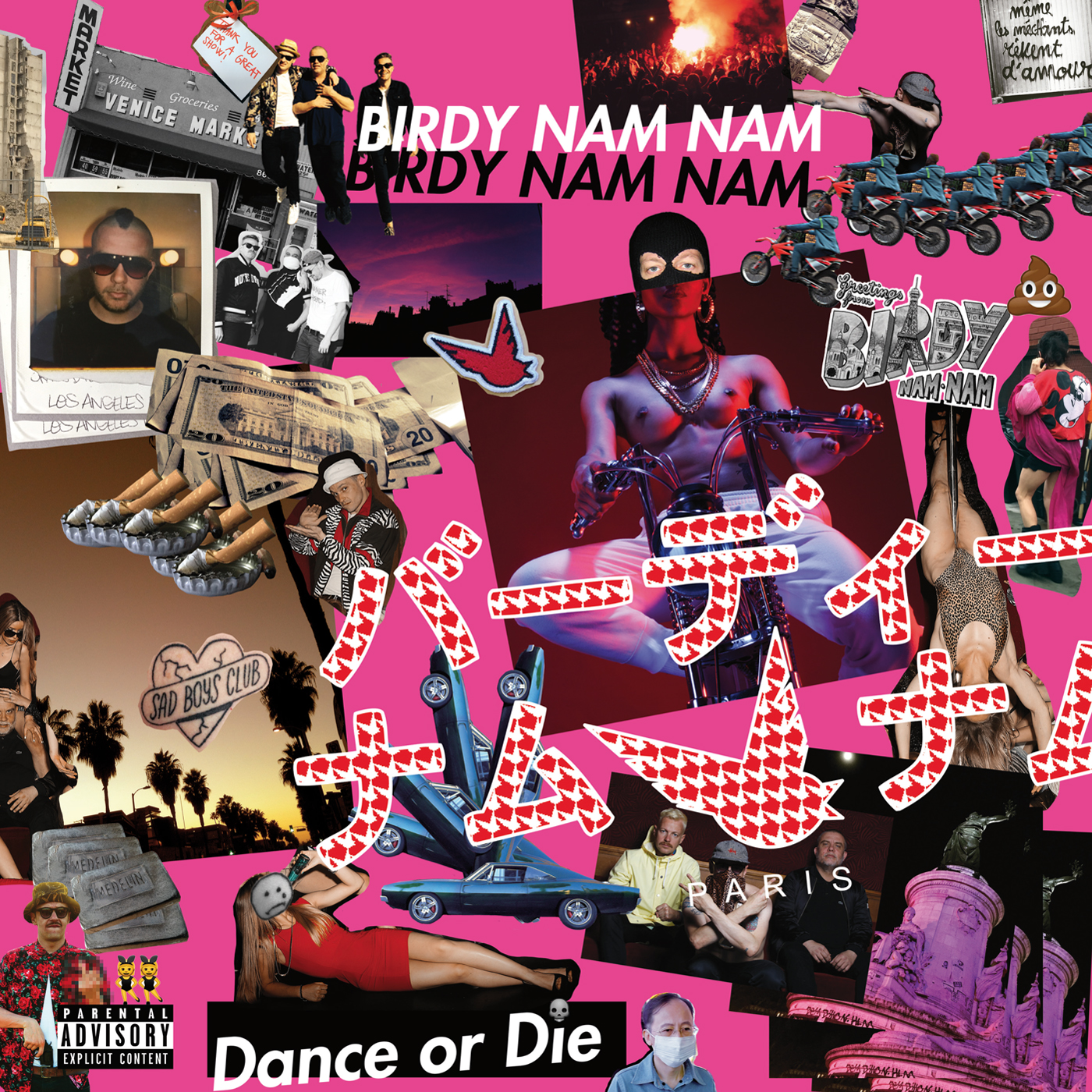 BIRDY NAM NAM "DANCE OR DIE" LP
