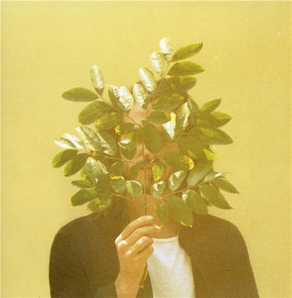 French Kiwi Juice