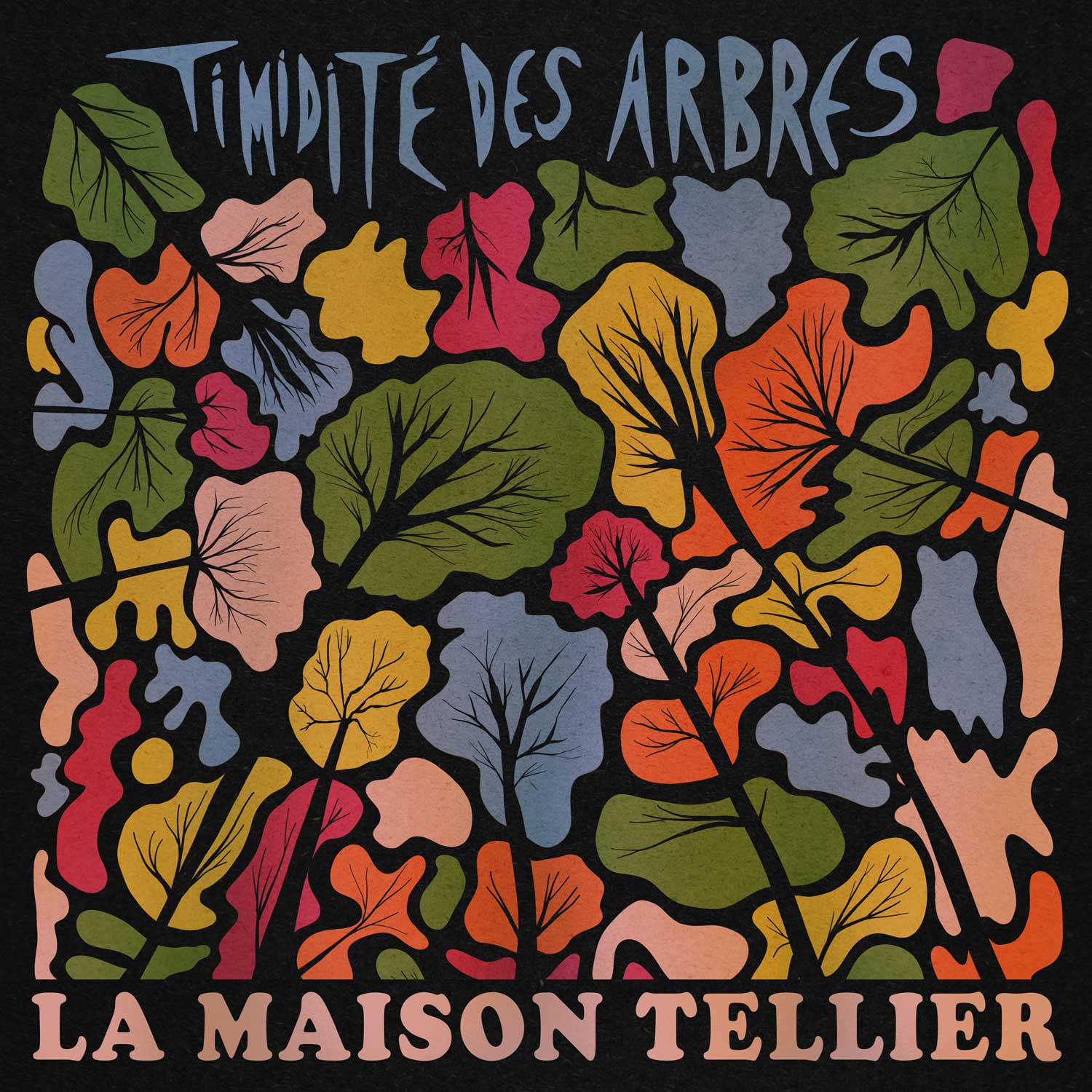 Timidite Des Arbres