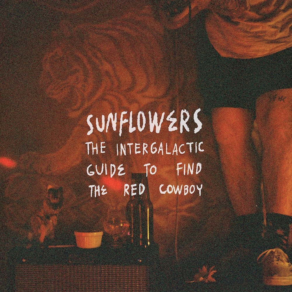 The Intergalactic Guide To Find The Red Cowboy