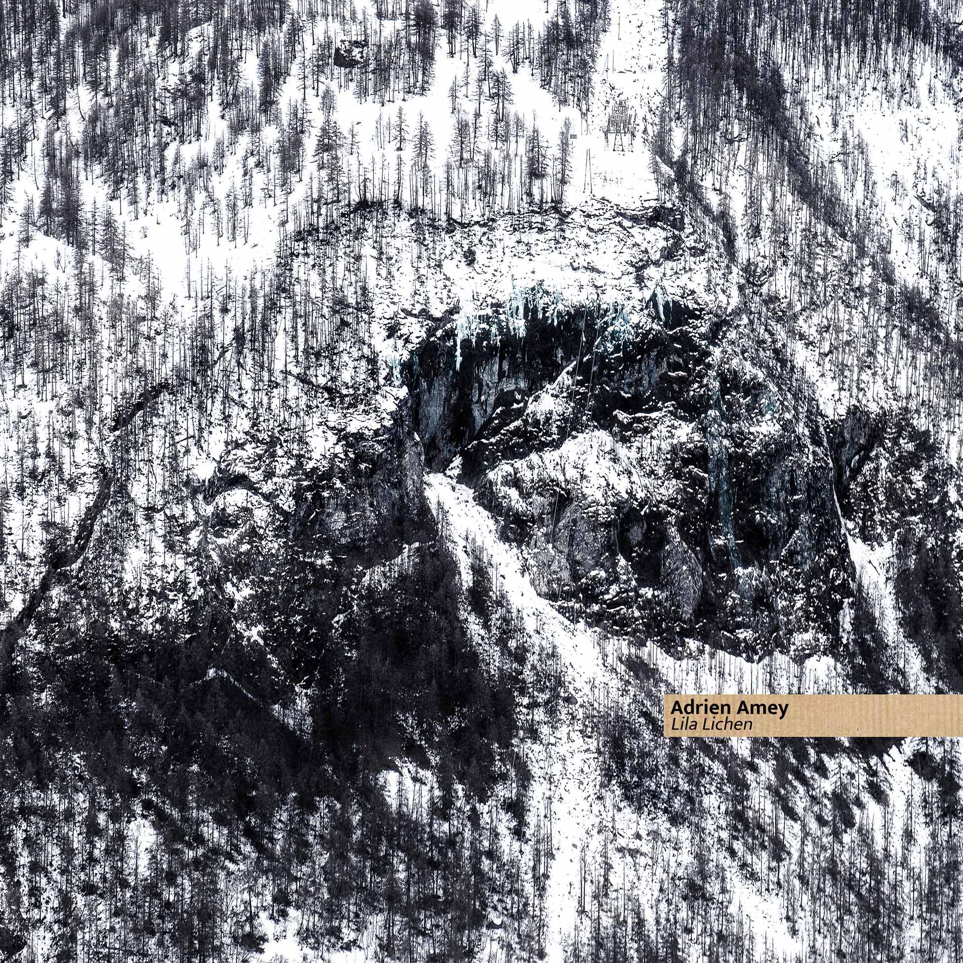 Lila Lichen