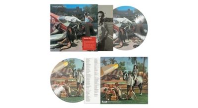 Indiscreet 50th Anniversary Edition Picture Disc