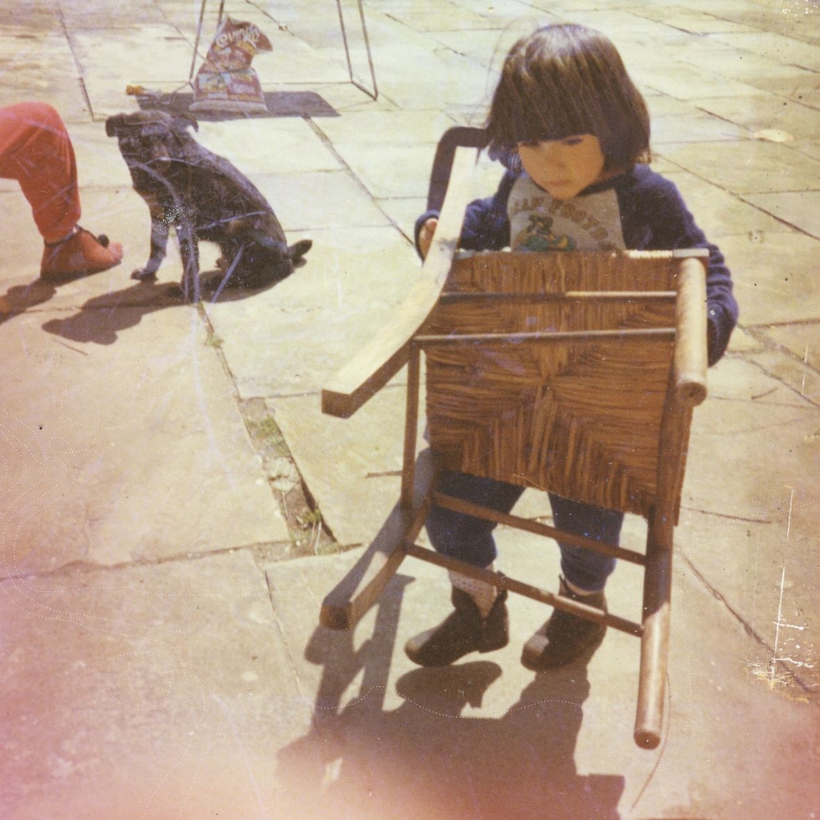 WAITING FOR THE CRICKET CHOIR (vinyl)