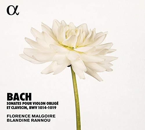 Sonates pour violon oblige et clavecin BWV 1014-1019