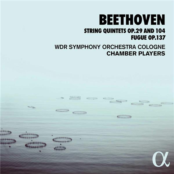 Quintettes à cordes opus 29 et 104 Fugue opus 137