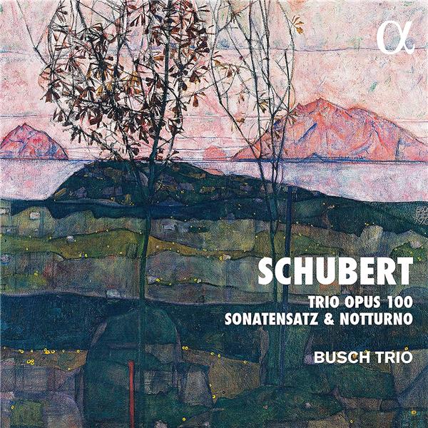 Trio Opus 100 Sonatensatz et Notturno