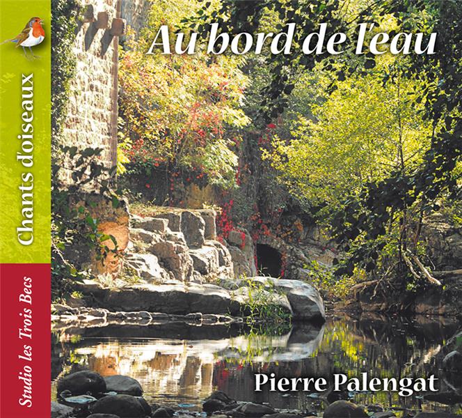 Chants d'oiseaux au bord de l'eau