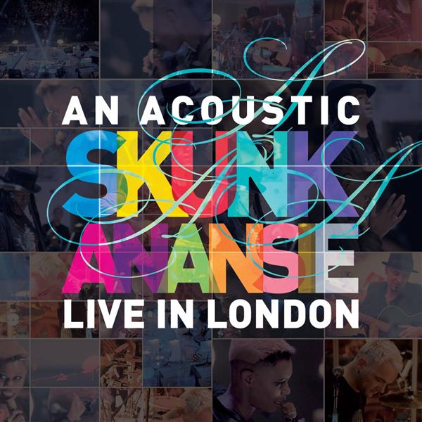An Acoustic Skunk Anansie Live