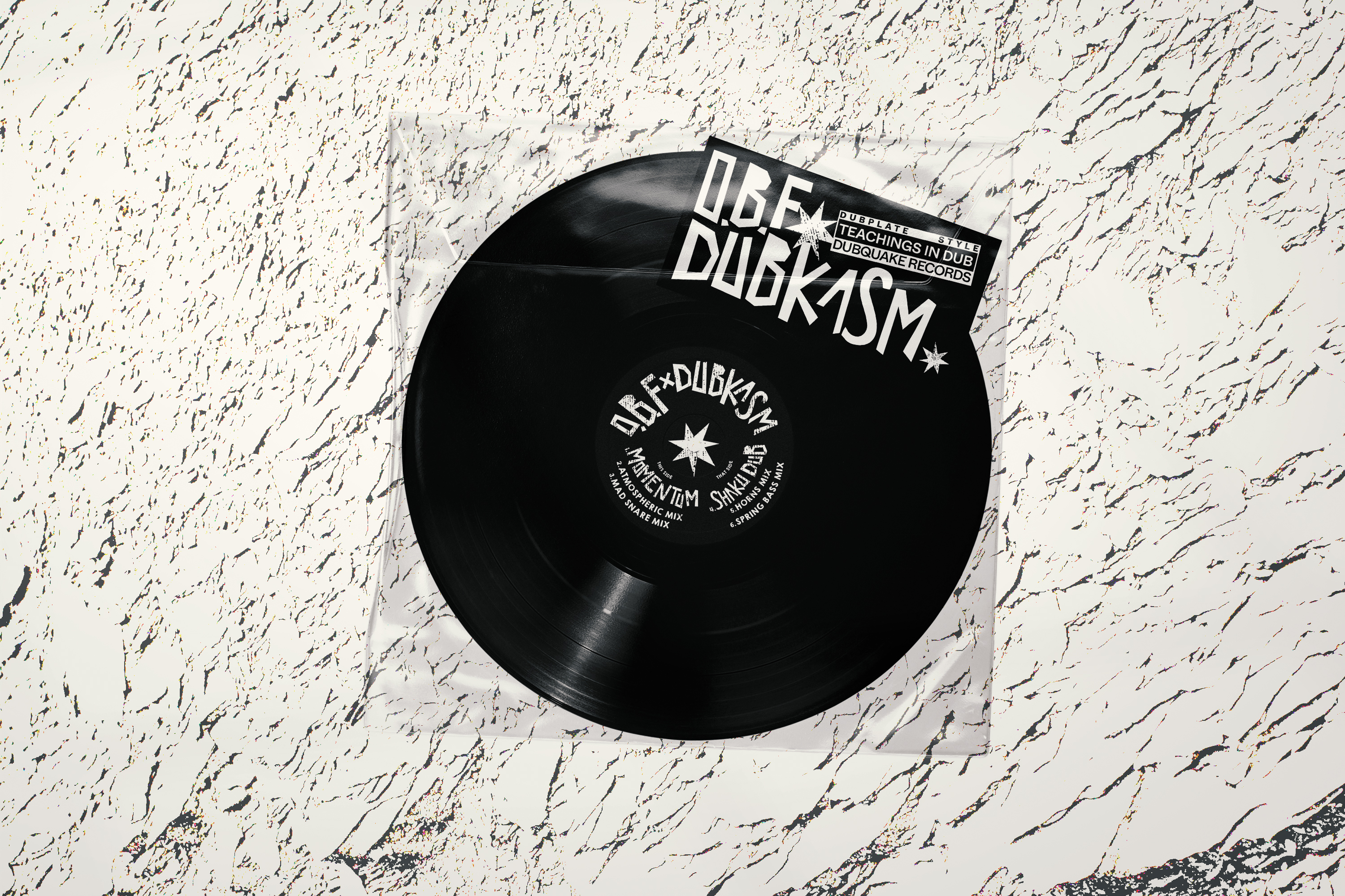 Momentum / Shaku Dub