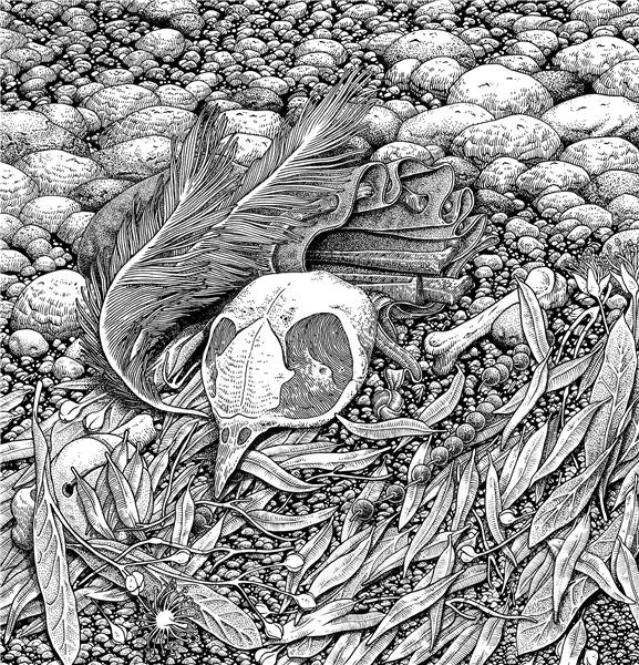 BONES