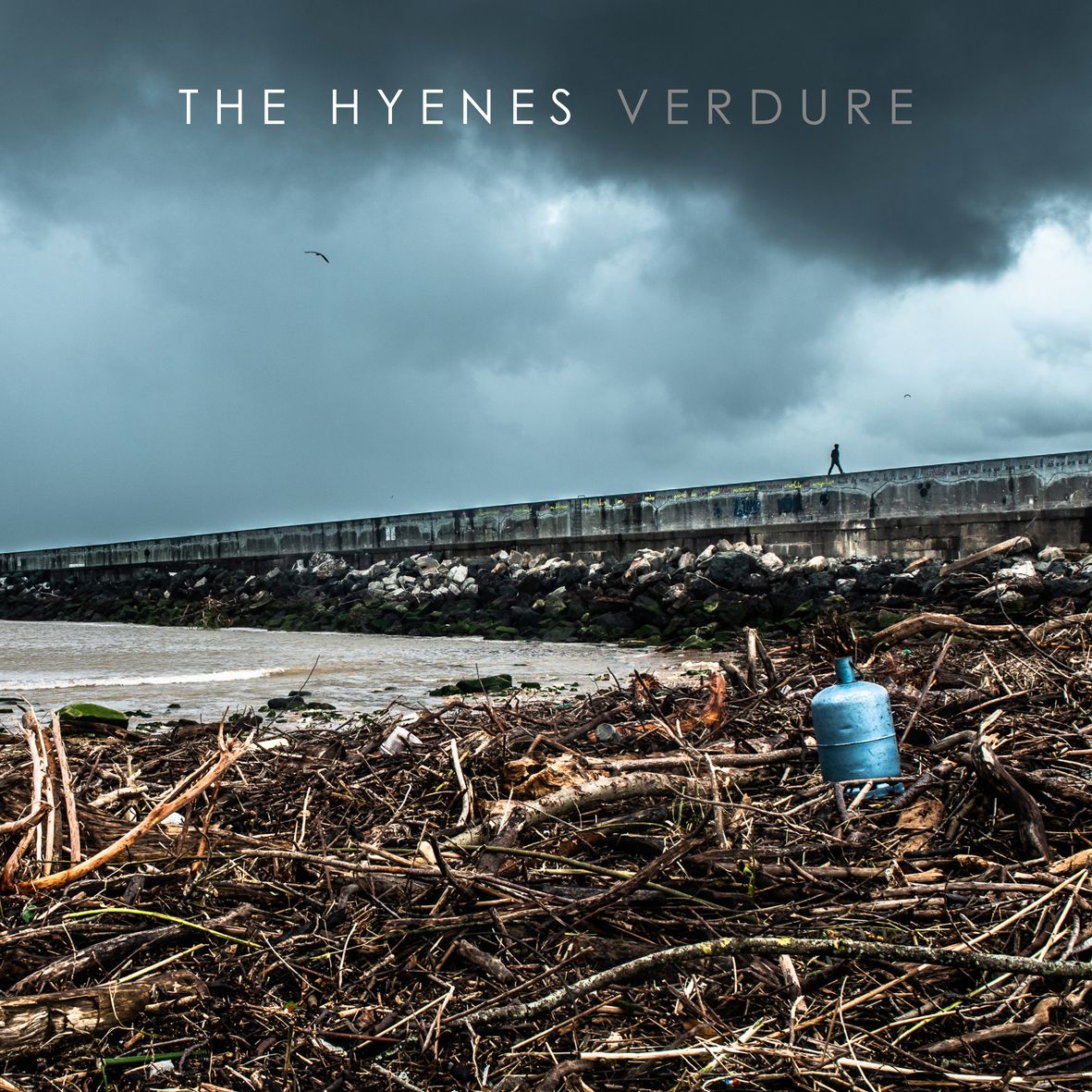 VERDURE (vinyl)