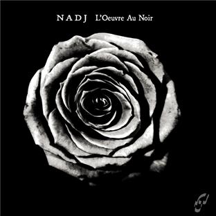 L'oeuvre au noir