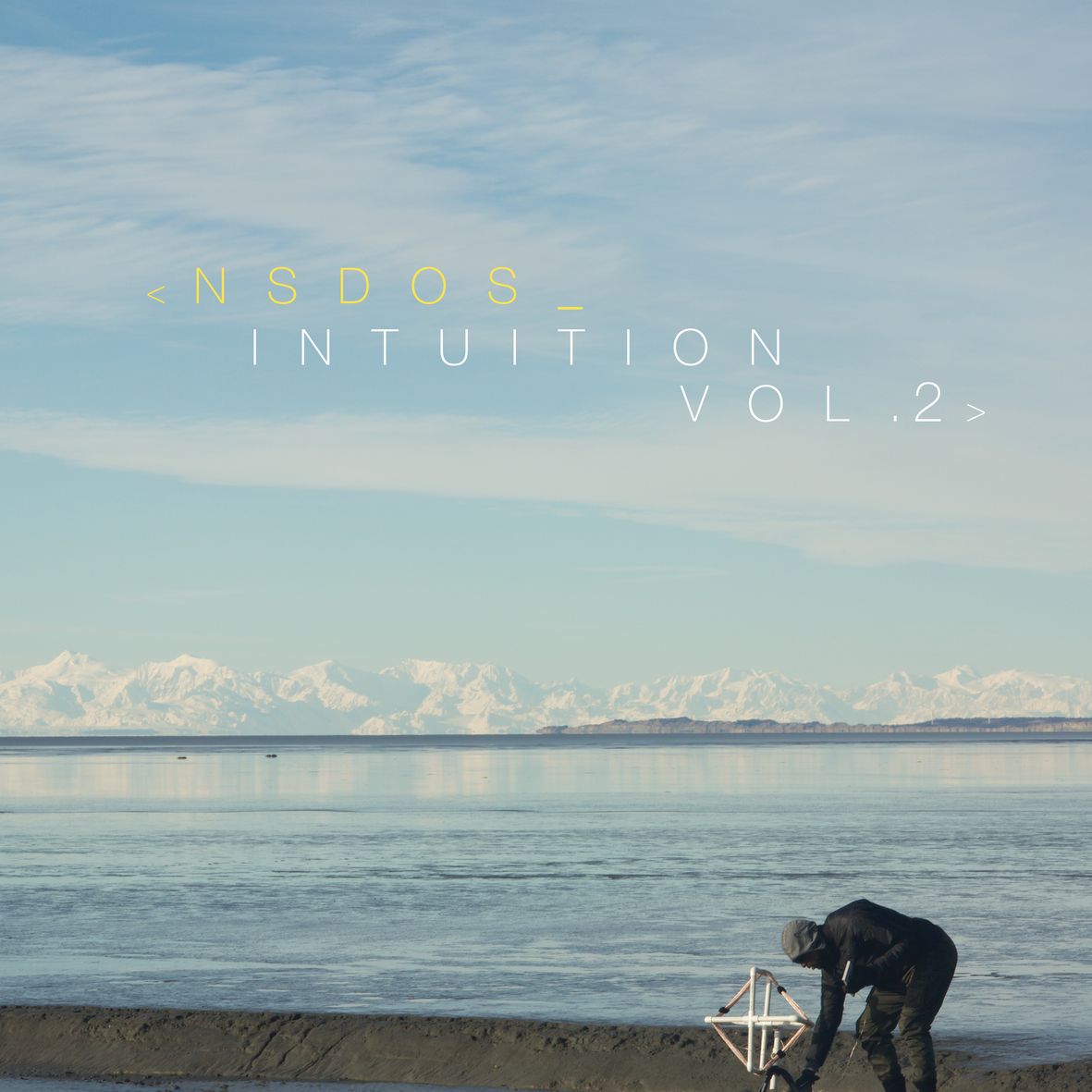 INTUITION Volume 2 (vinyl)