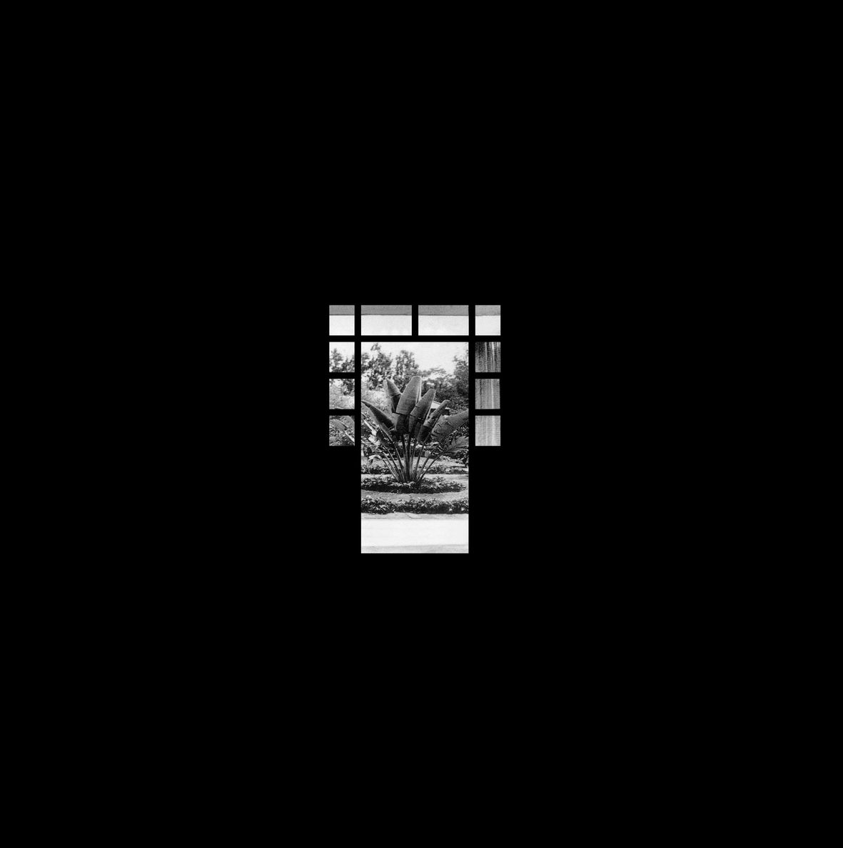 HEARTS OF PALM (vinyl)