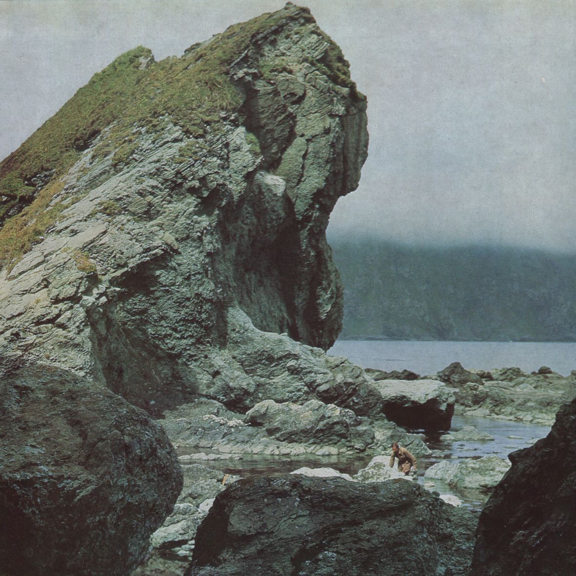 MANY NIGHTS (vinyl)
