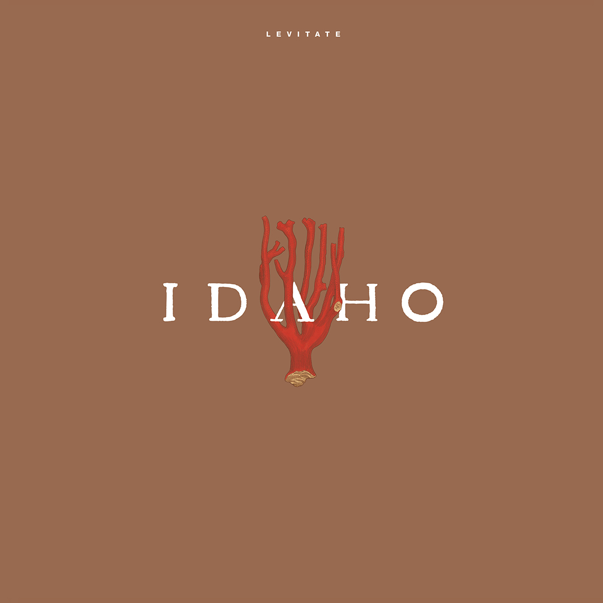 LEVITATE (vinyl)