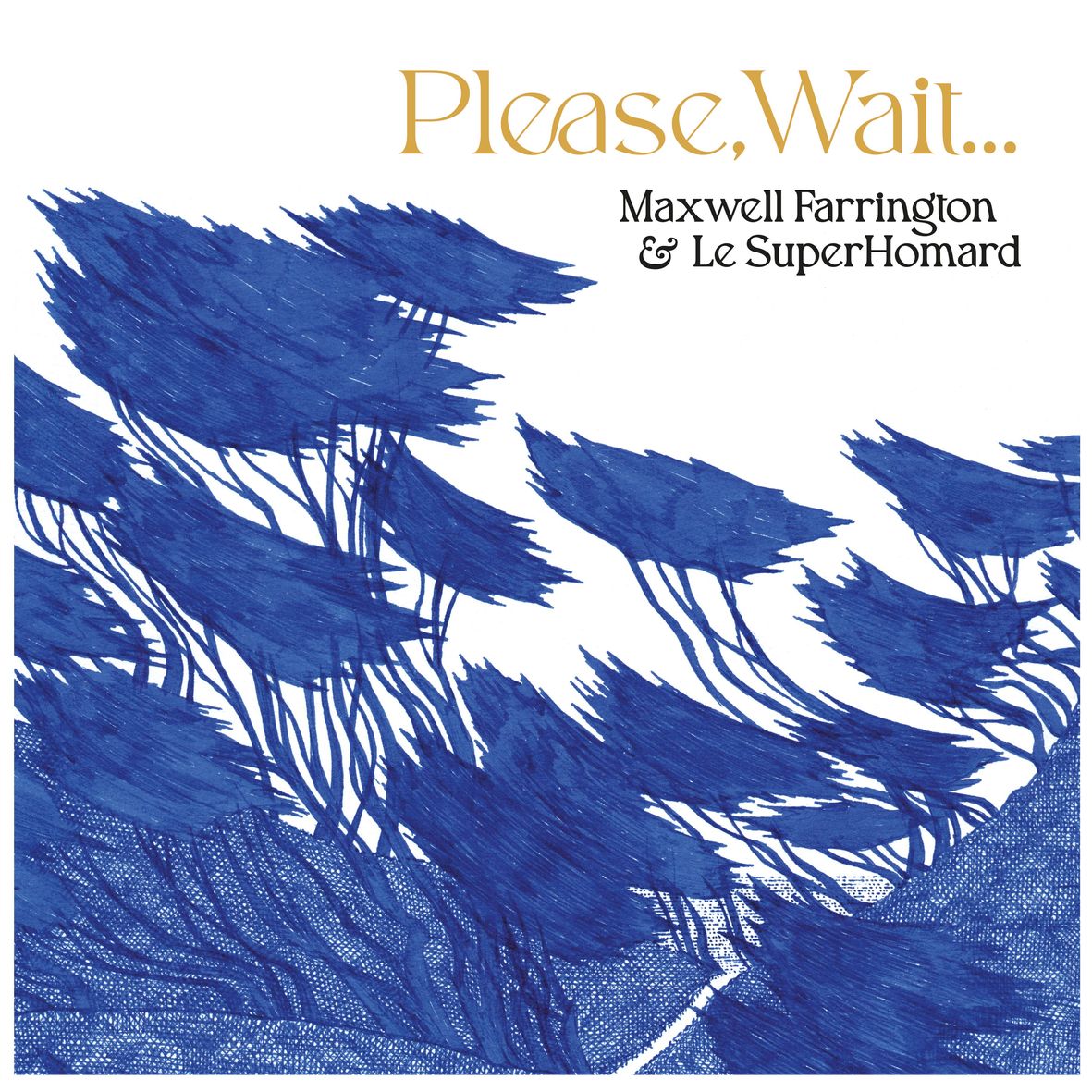 PLEASE, WAIT… (vinyl)