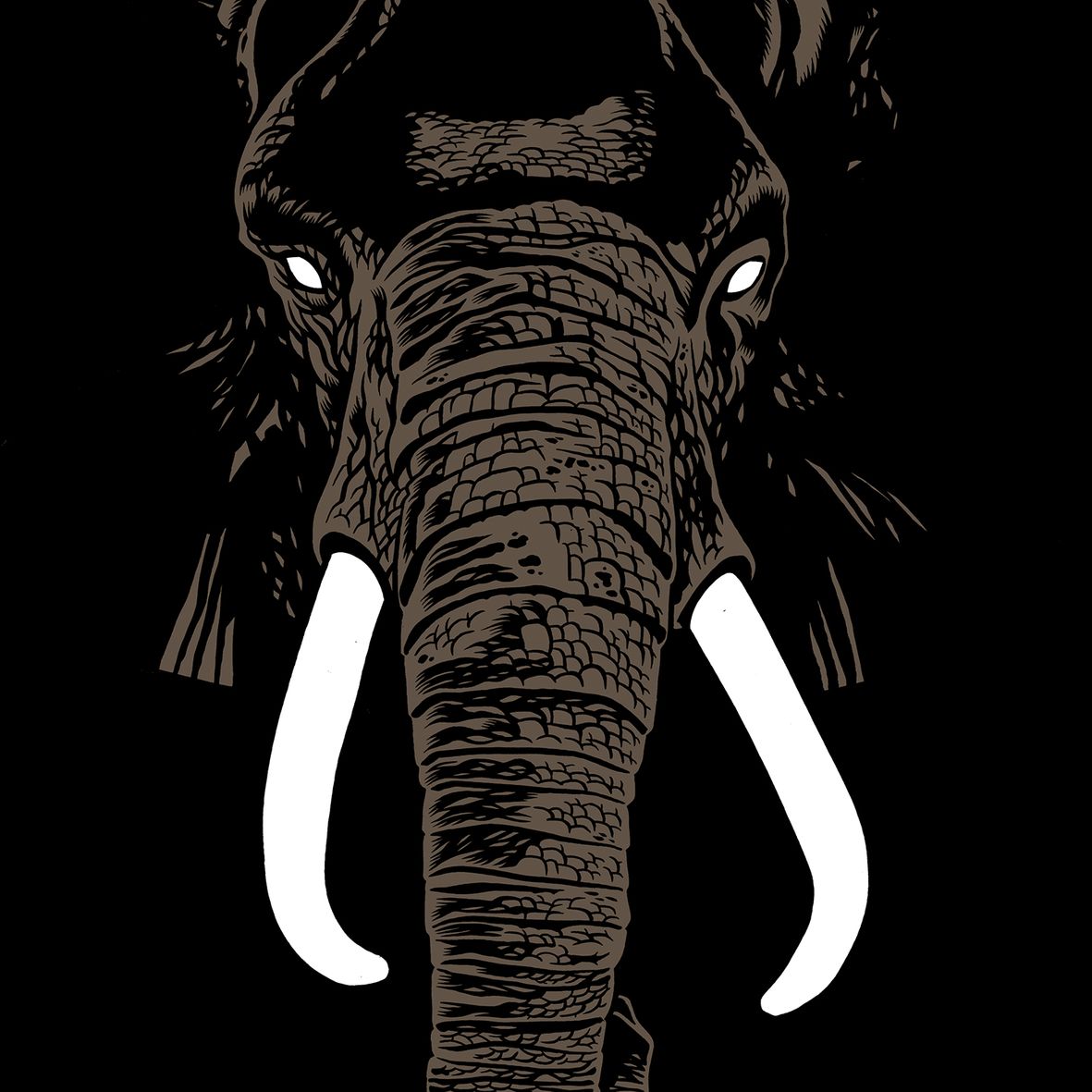DON'T BUY IVORY ANYMORETHE MUSIC OF HENRI TEXIER