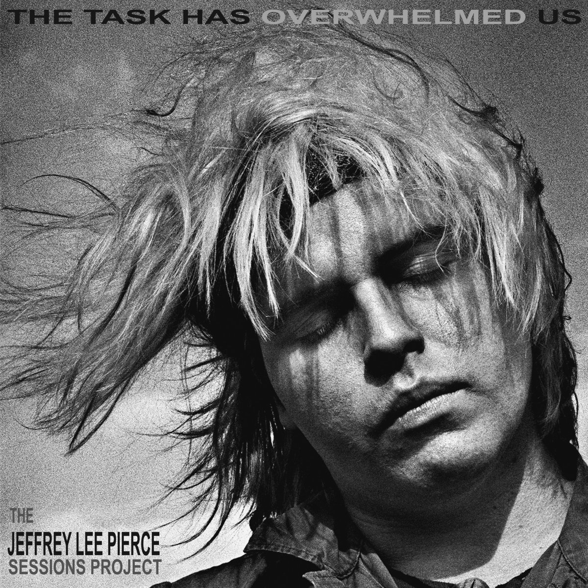 The Jeffrey Lee Pierce Sessions Project Vol 4/The Task Has Overwhelmed Us