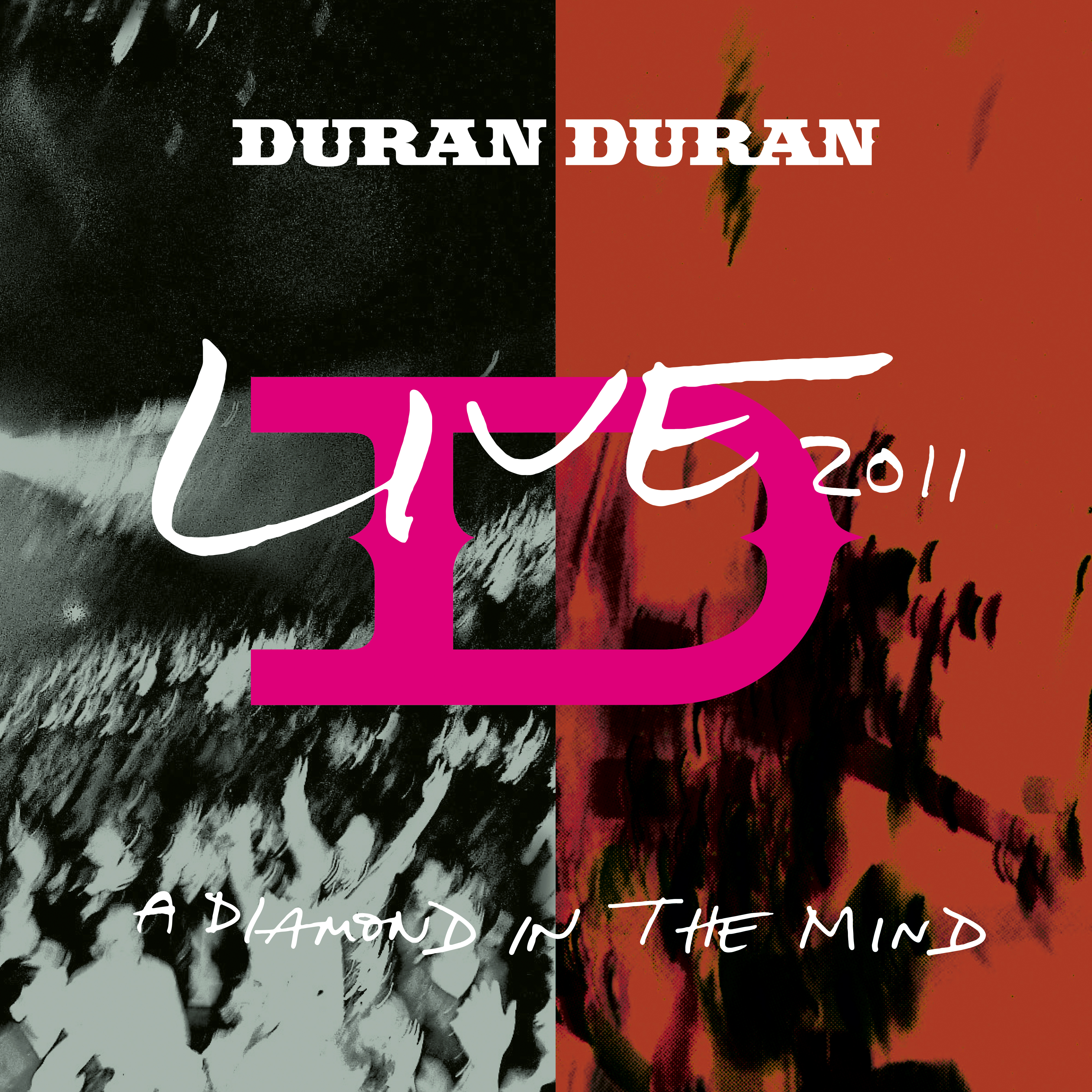 Live 2011: A Diamond in the Mind