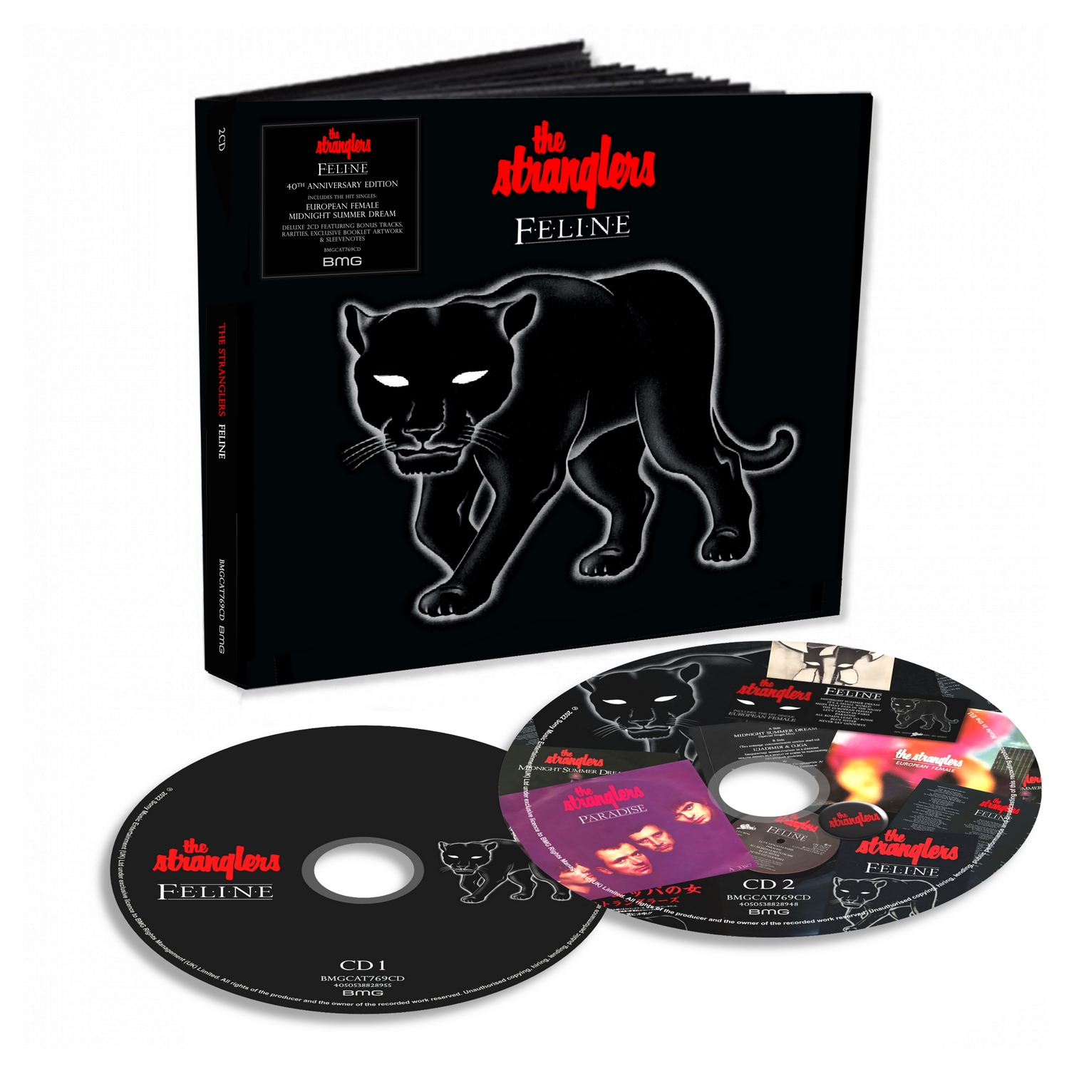 Feline
