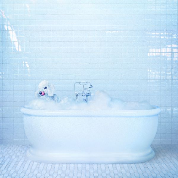 Vessel - Loser Edition