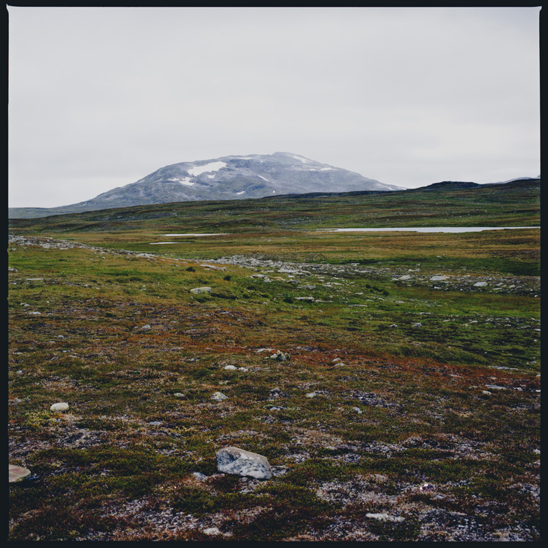 TUNDRA