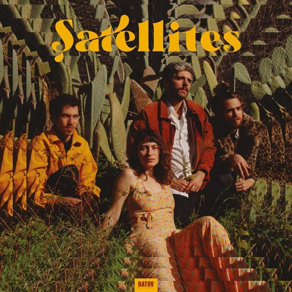 Satellite