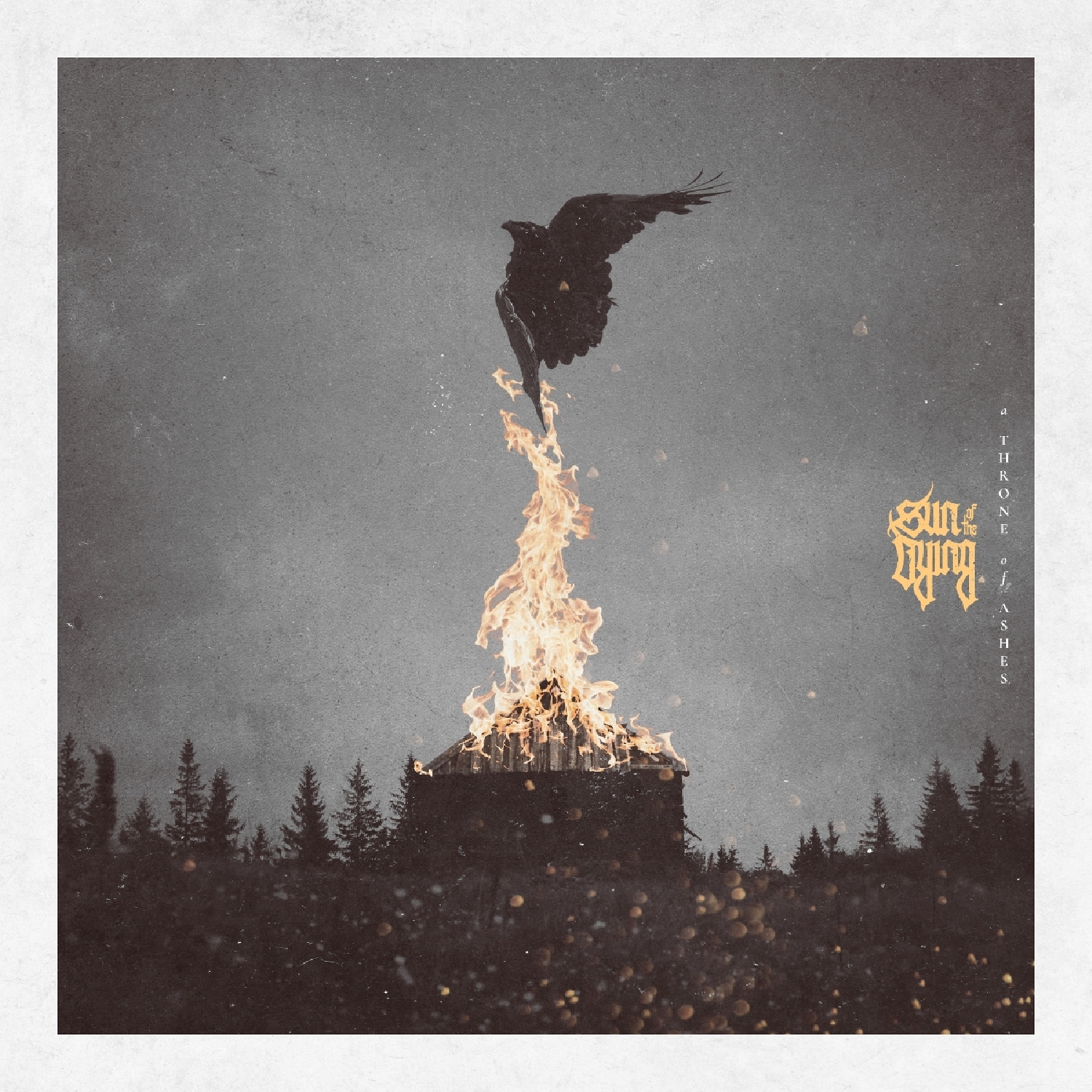 A Throne Of Ashes(LP)
