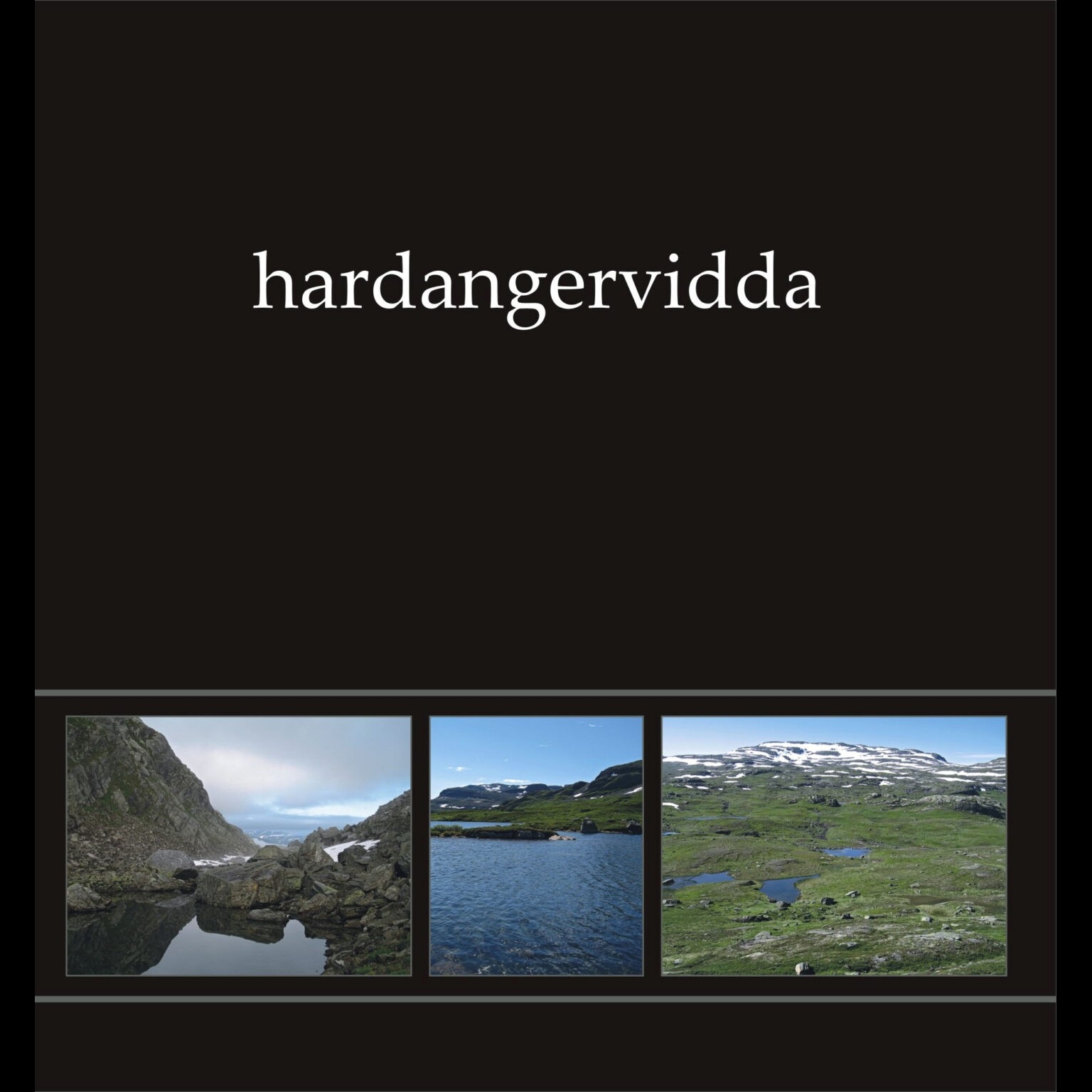Hardangervidda I