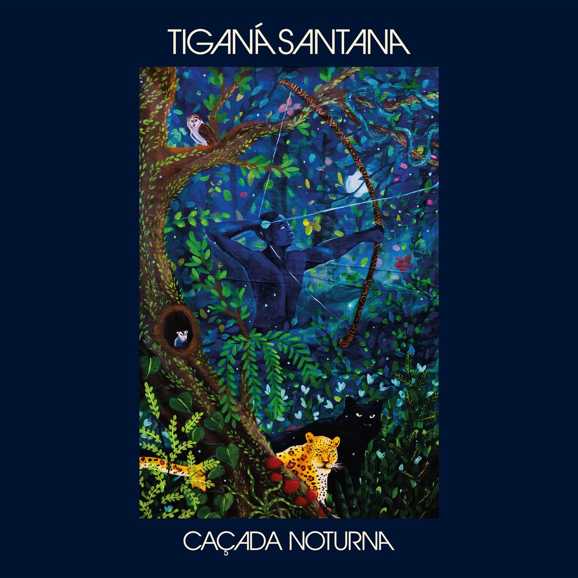 CACADA NOTURNA (vinyl)