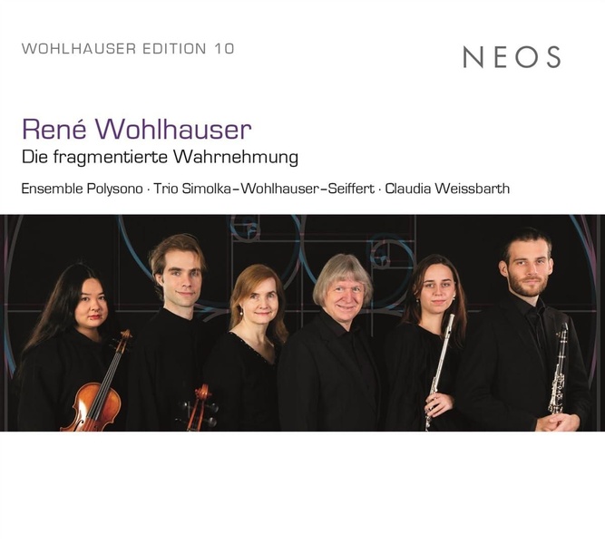 René Wohlhauser: Die fragmentierte Wahrnehmung