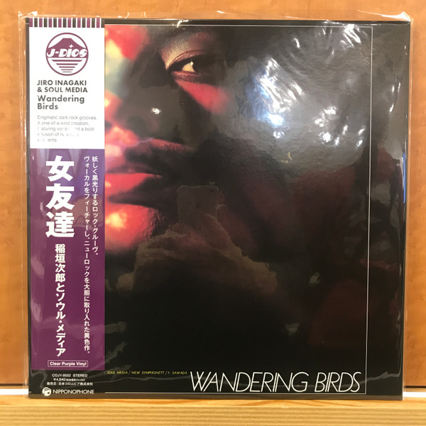 Wandering Birds Vinyle Violet Transparent
