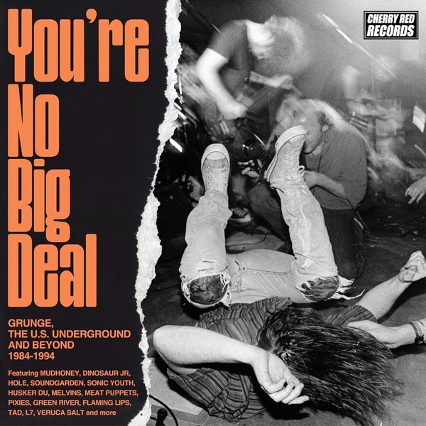 You're No Big Deal : Grunge The U.S. Underground And Beyond 1984 Coffret