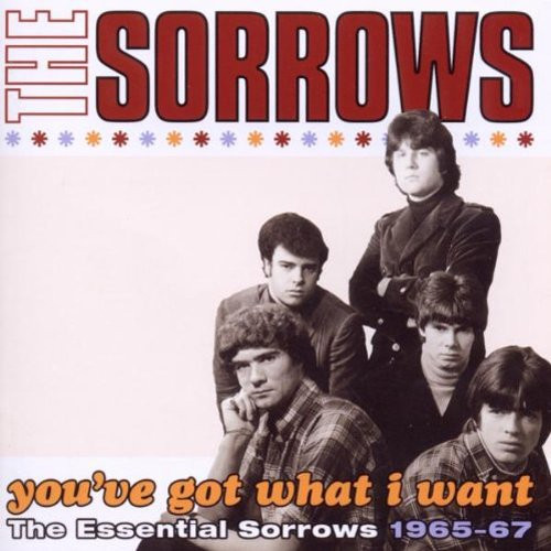 You ve got what i want the essential sorrows 1965 67
