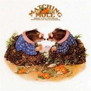 Matching mole - Expanded edition
