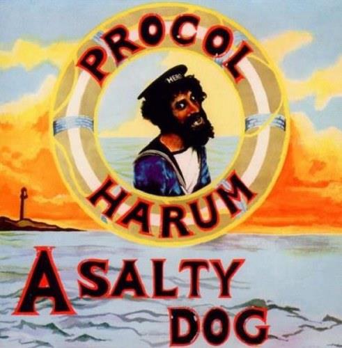 Salty dog