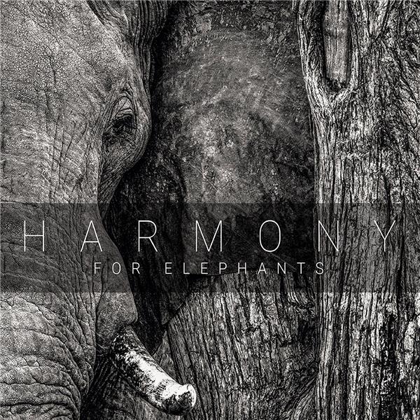 Harmony For Elephants