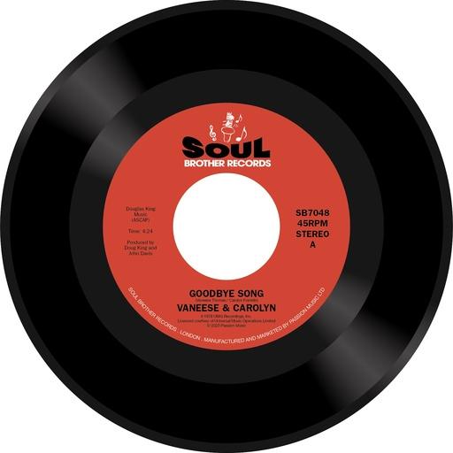 Goodbye Song - Just A Smile (From You)