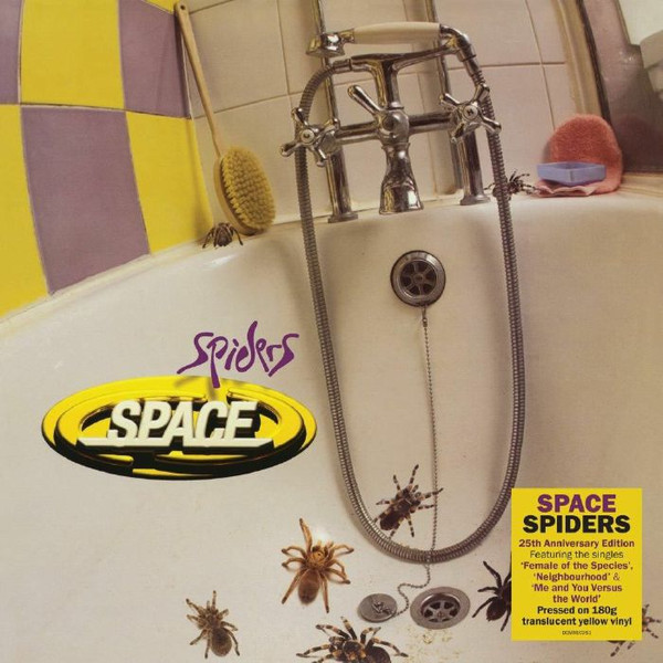 Spiders