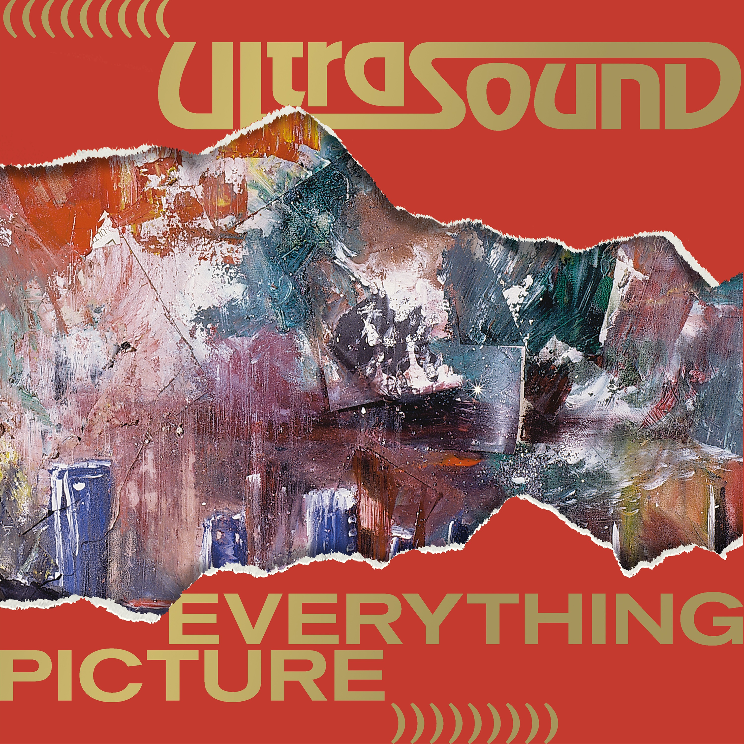 EVERYTHING PICTURE/COFFRET 5LP INCLUS 1CD/LIVRET 26 PAGES ET POSTER