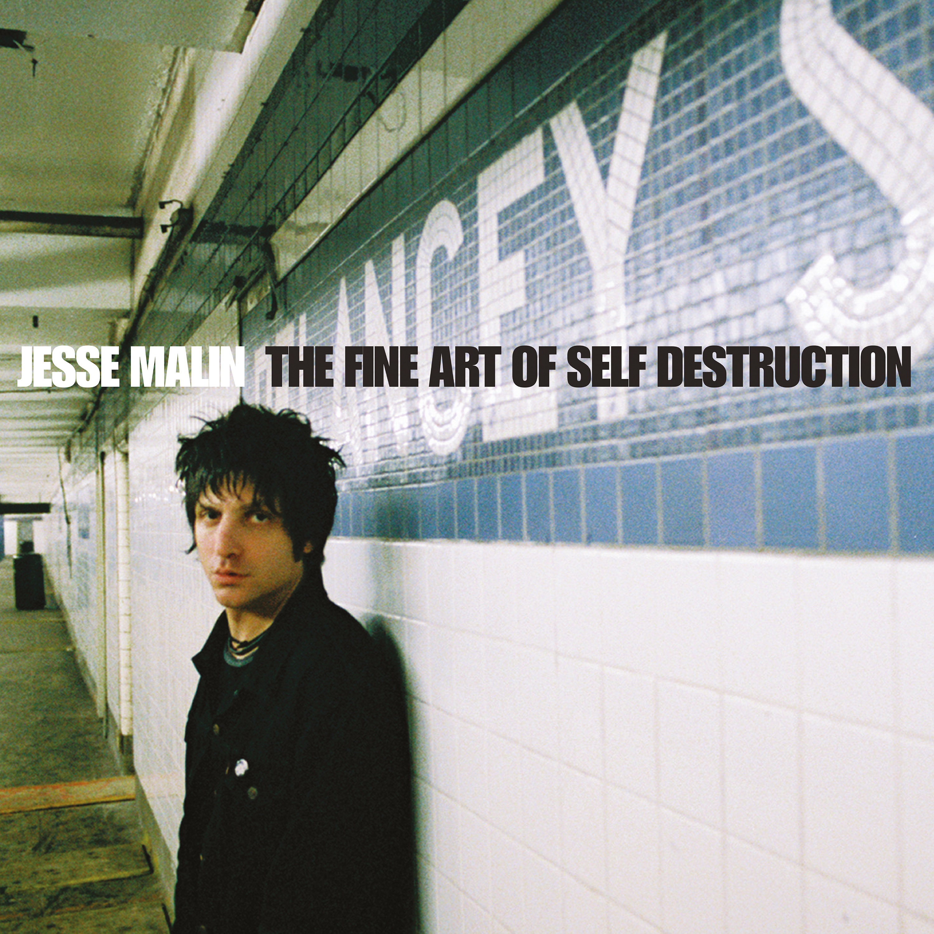 FINE ART OF SELF DESTRUCTION/20TH ANNIVERSARY EDITION