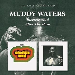 Electric mud - After the rain
