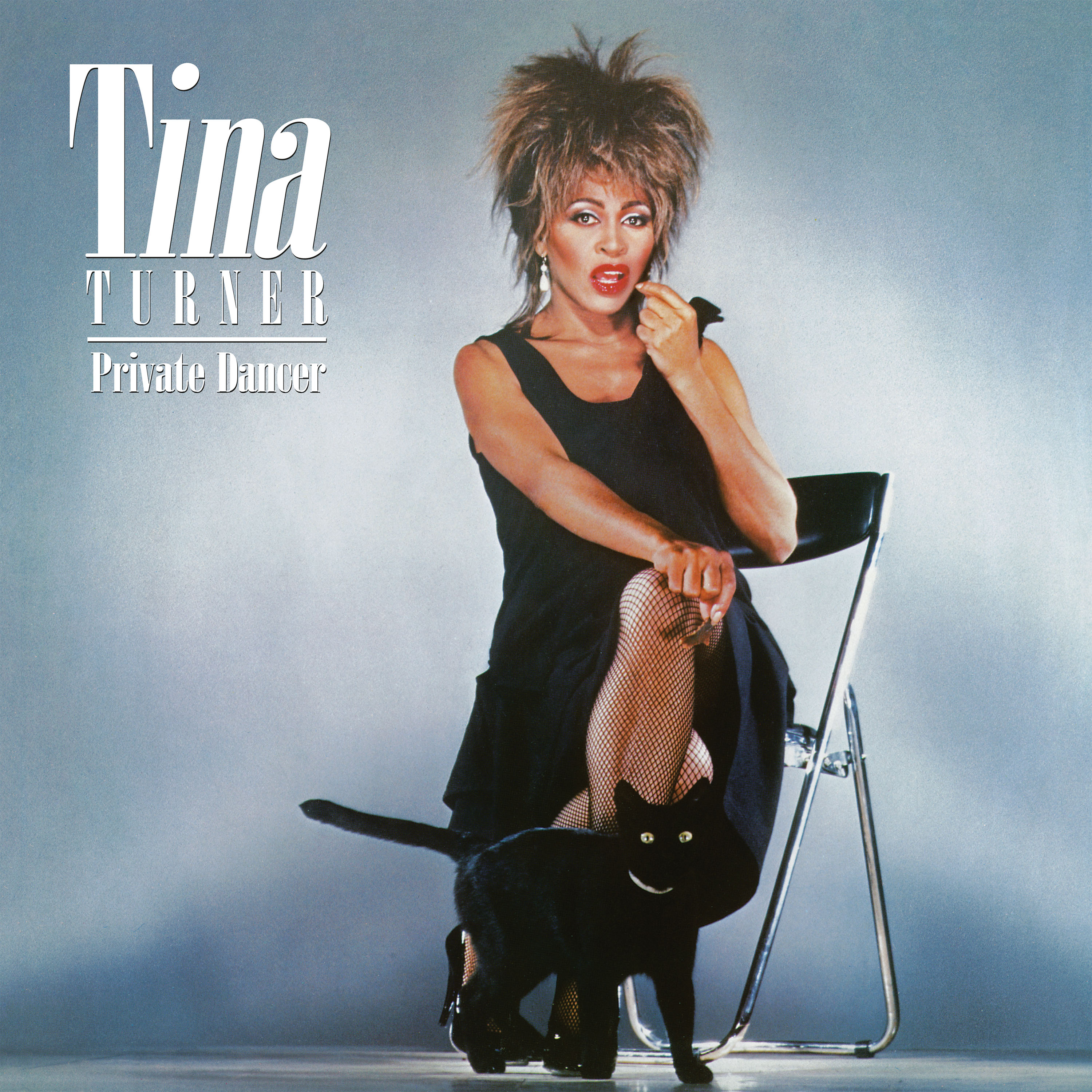 PRIVATE DANCER (VINYLE PICTURE DISC - 40TH ANNIV.)